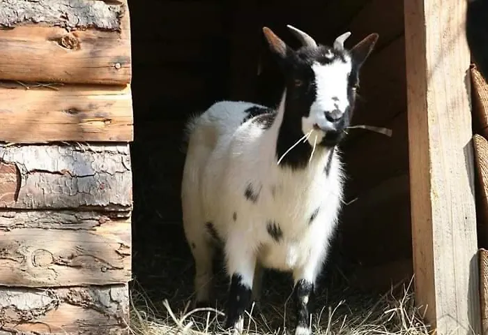 L'oustalou Rosières